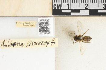 Media type: image;   Entomology 771560 Aspect: Labels